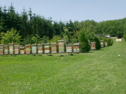 2016 méhész találkozó
